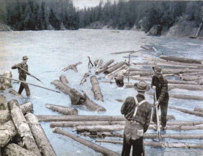 Using a Log Peavey While Floating Logs Down a River